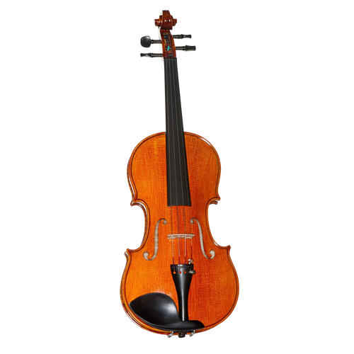 6107A Violin Outfit