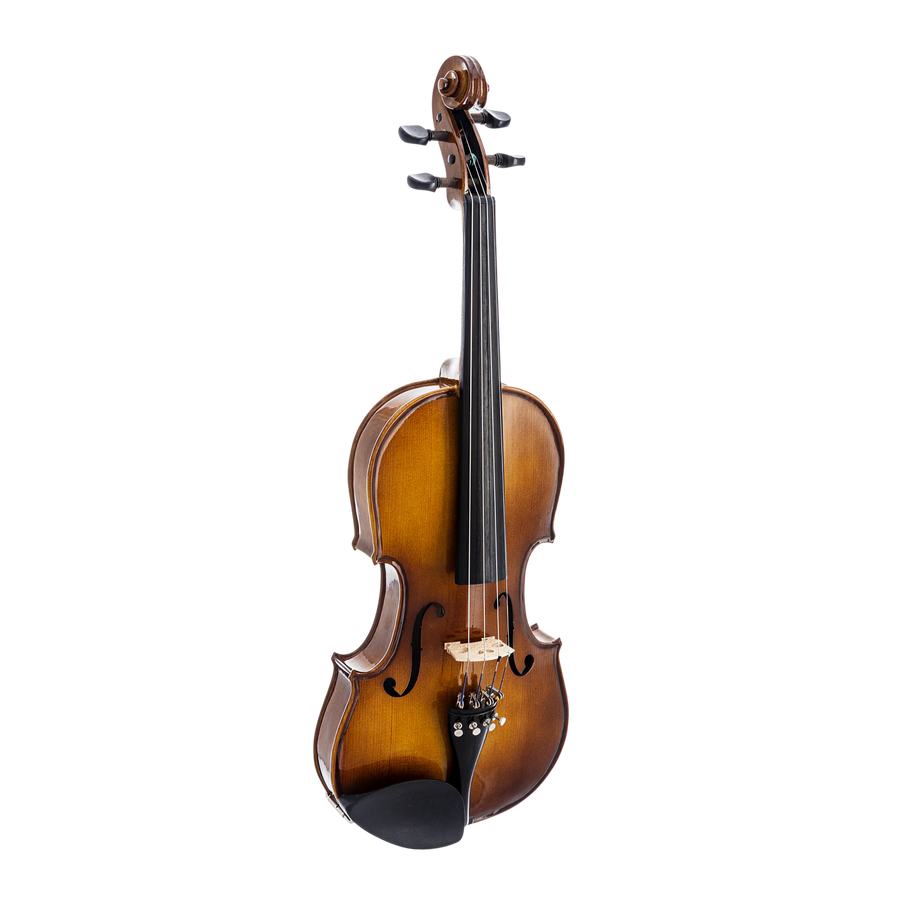 6105A Violin Outfit