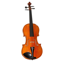 6107A Violin Outfit