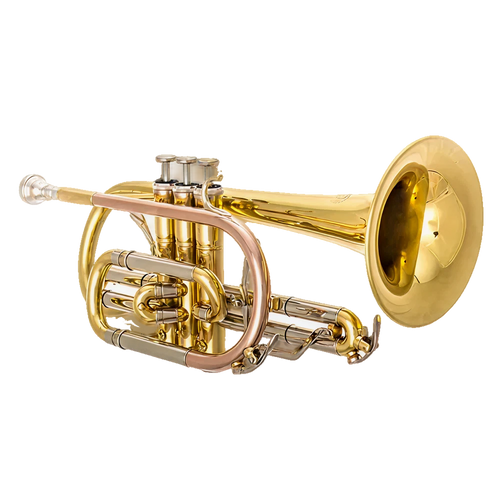 CR611 Bb Cornet