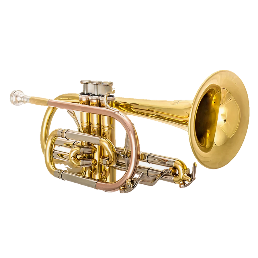 CR611 Bb Cornet