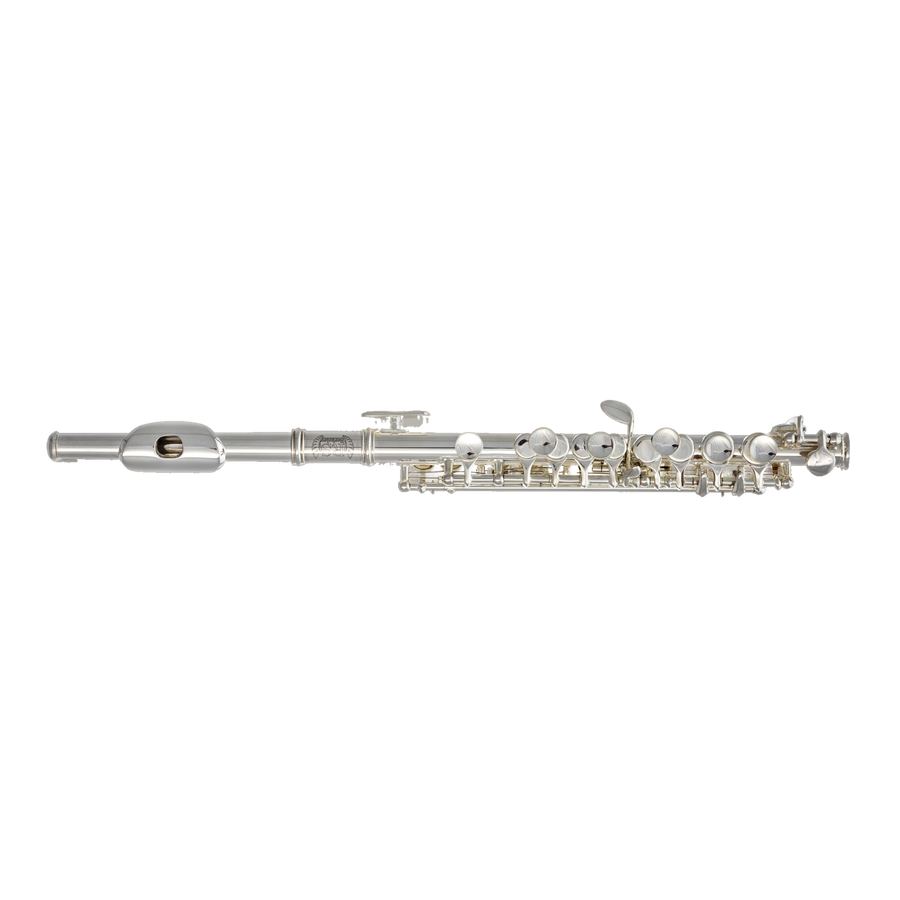 P101 Piccolo