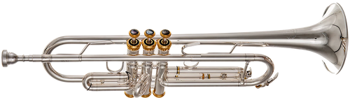 TP612S Bb Trumpet Pro